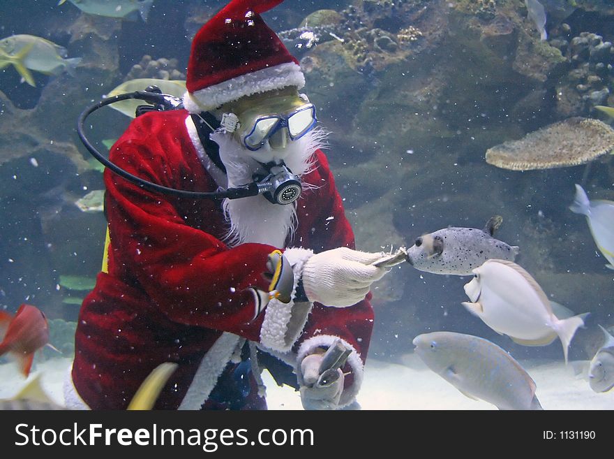 Santa Clause Feeding Fishes