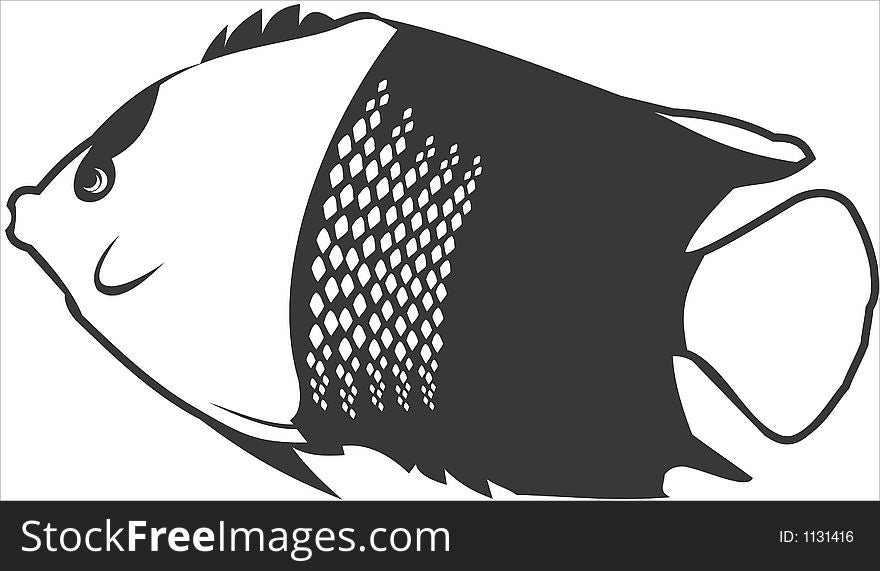 Vector image of bicolor angelfish