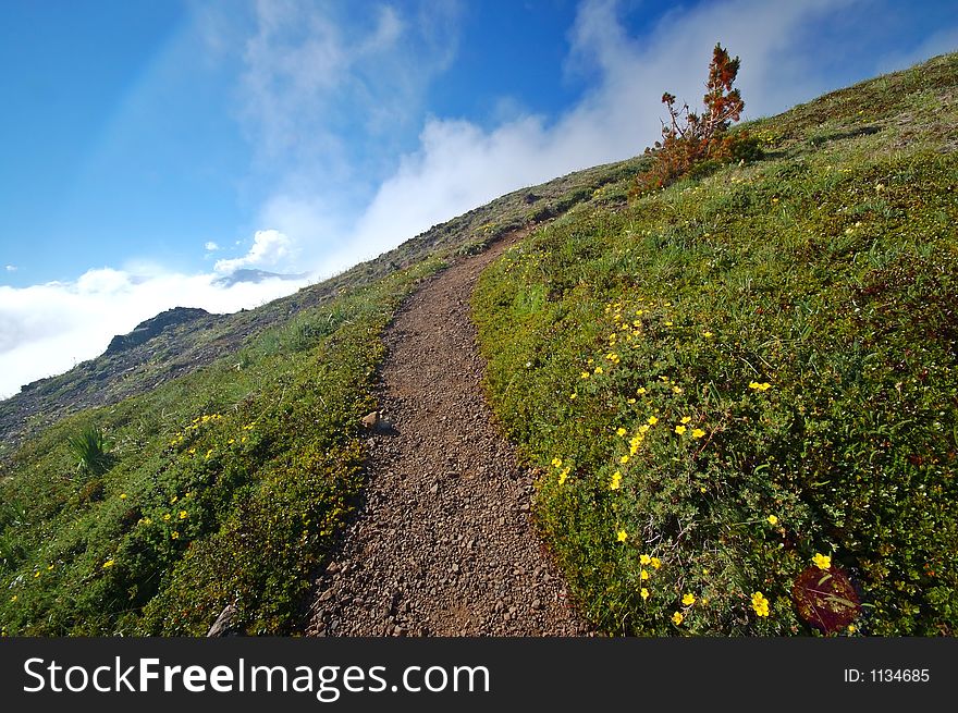 Trail In The Mountains