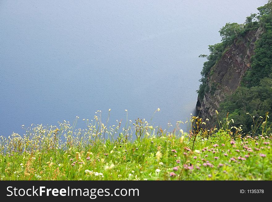 The green grass on the dark-blue water background and downhill. The green grass on the dark-blue water background and downhill