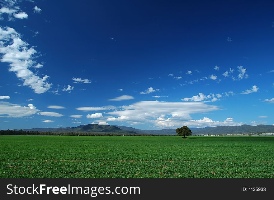 Green field, blue sky and white clouds. Green field, blue sky and white clouds