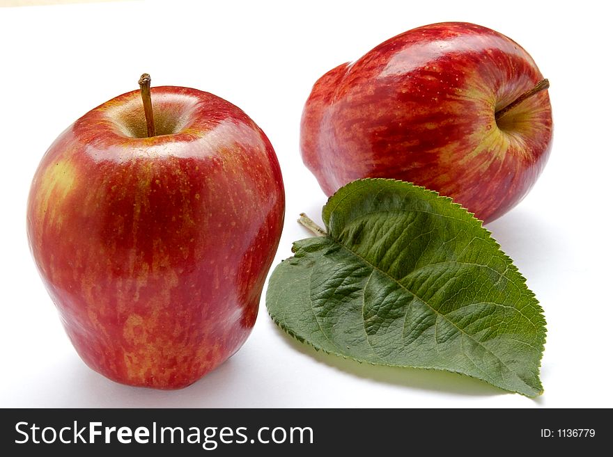 Rich apple crop-fruits and foliage