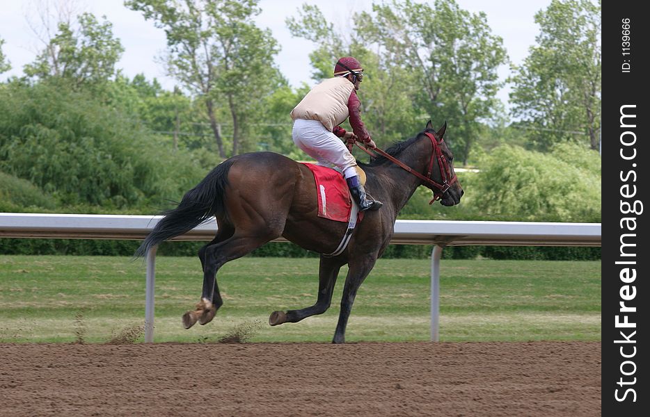 Horse Racing