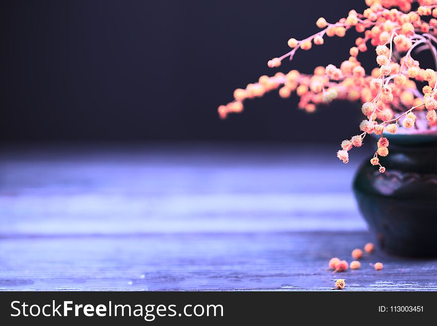 Toned flowers of a mimosa in a ceramic vase on a black background. Wooden table, close up, selective focus, unusual color