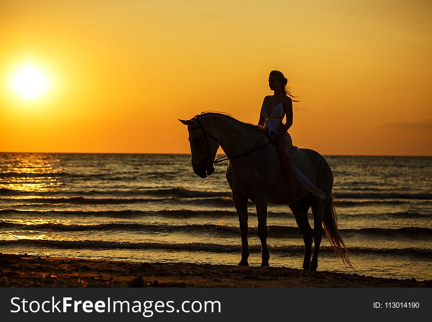 Female Silhouette On A Horse At Sunset By The Sea