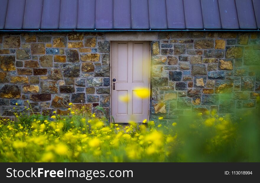 Doorway of brick building behind a bed of flowers