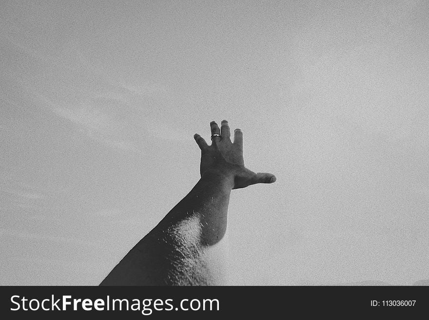 Monochrome Photo of Left Hand