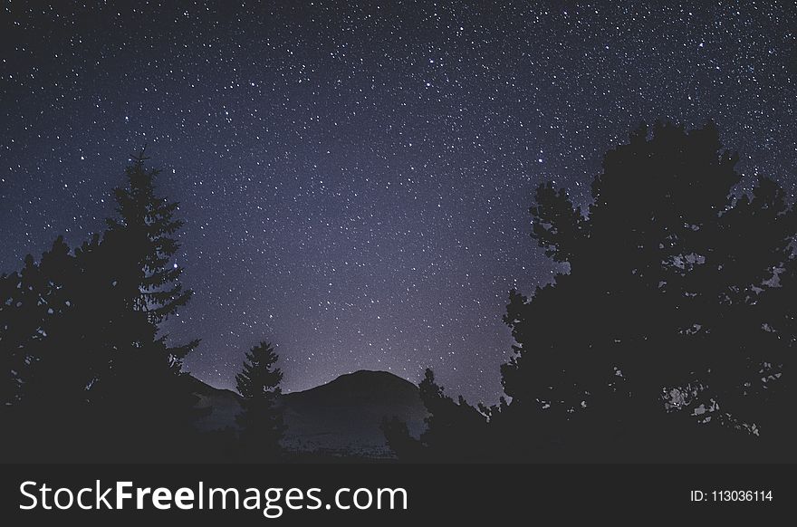 Silhouette of Trees and Mountain