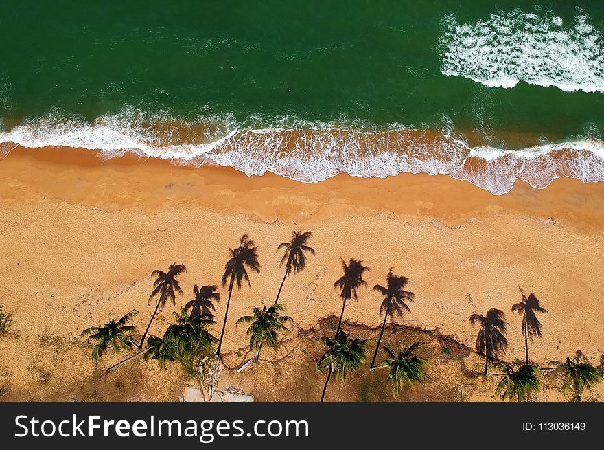 Bird&#x27;s Eye View of Ocean