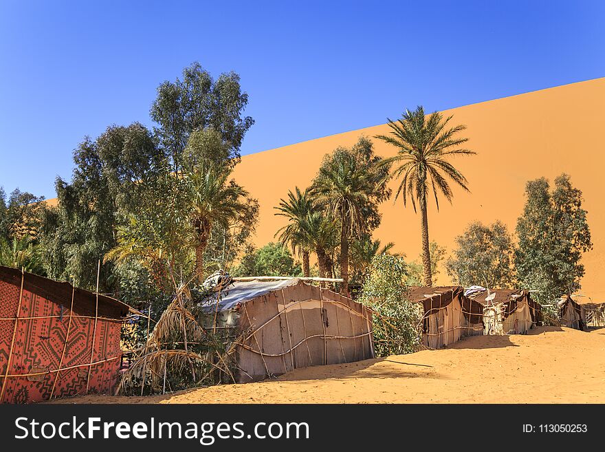 Bedouin tents and trees in the desert