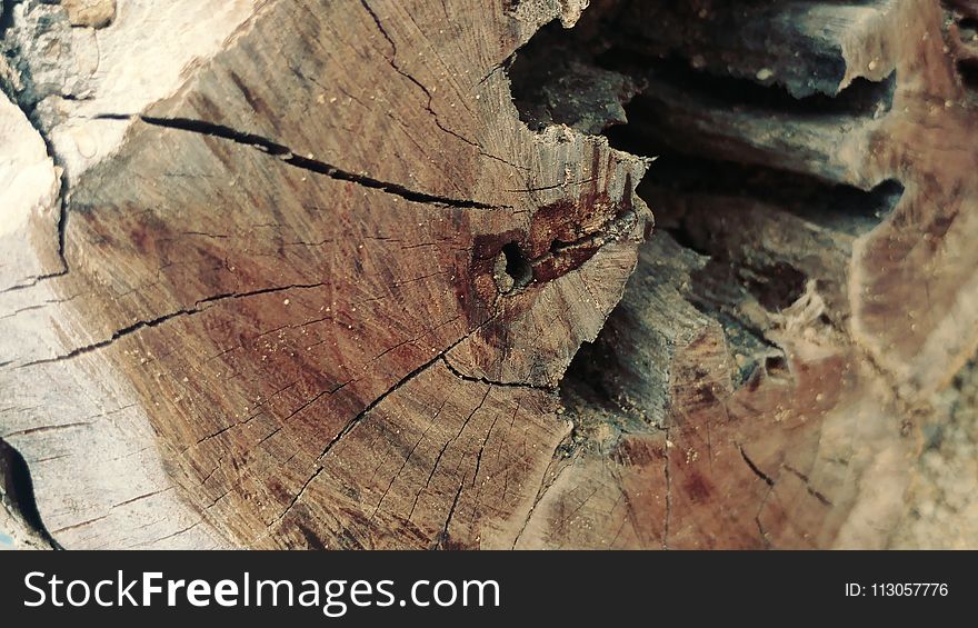 Wood, Geology, Rock, Texture