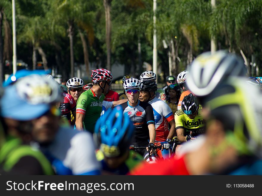 Cycling, Road Bicycle, Bicycle Racing, Cycle Sport