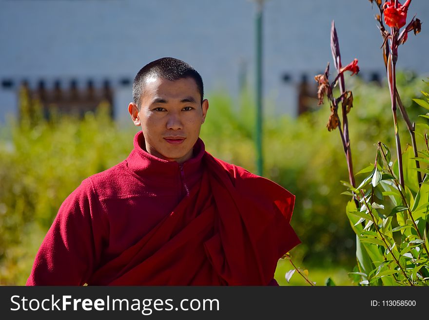 Red, Plant, Lama, Monk
