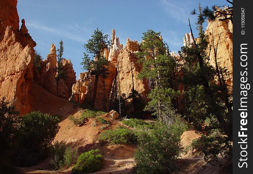 Canyon, Wilderness, Rock, Nature Reserve