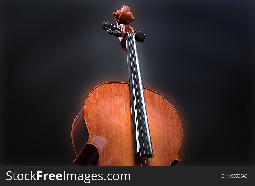 Cello, Musical Instrument, Violin Family, String Instrument