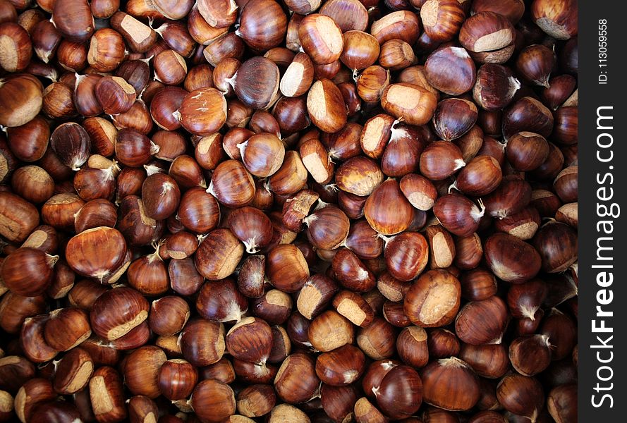 Chestnut, Nuts & Seeds, Nut, Hazelnut