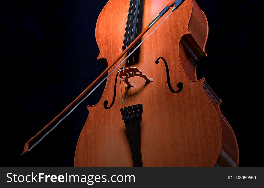 Musical Instrument, Cello, Double Bass, Violin Family