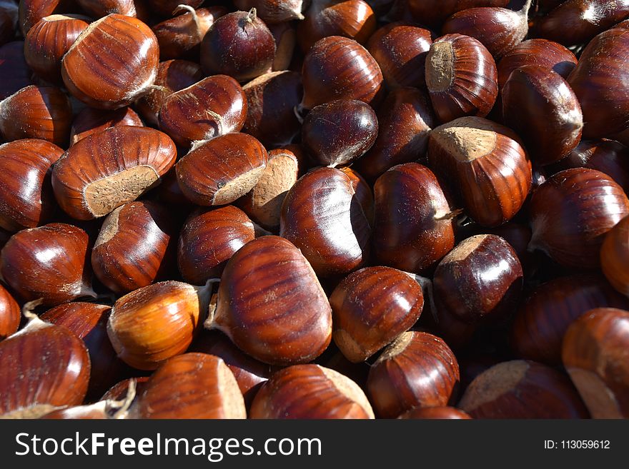 Chestnut, Nuts & Seeds, Nut, Hazelnut