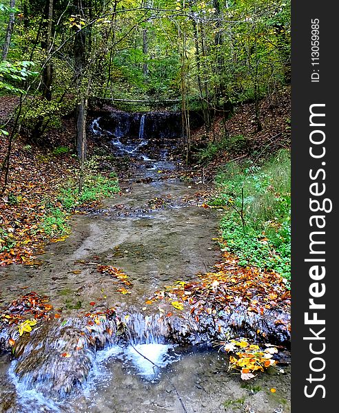 Water, Stream, Nature, Body Of Water