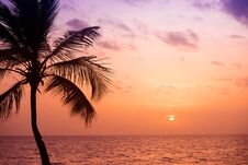 Palm Trees Silhouette At Sunset Tropical Beach. Orange Sunset. Royalty Free Stock Photo