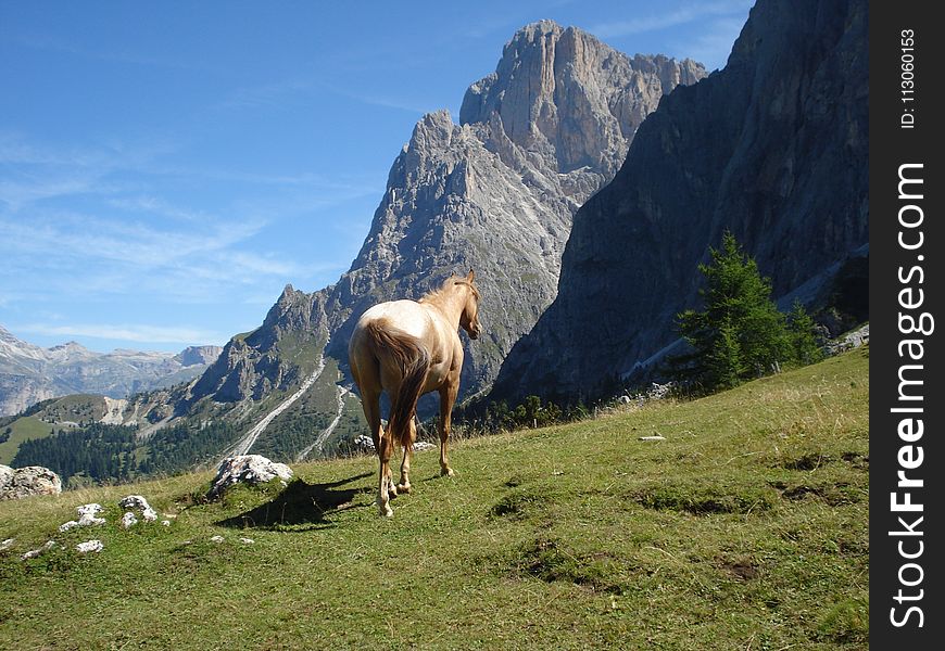 Mountainous Landforms, Mountain Range, Mountain, Pasture