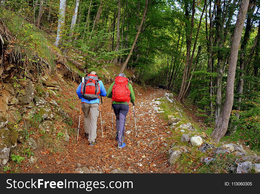 Path, Nature Reserve, Wilderness, Hiking