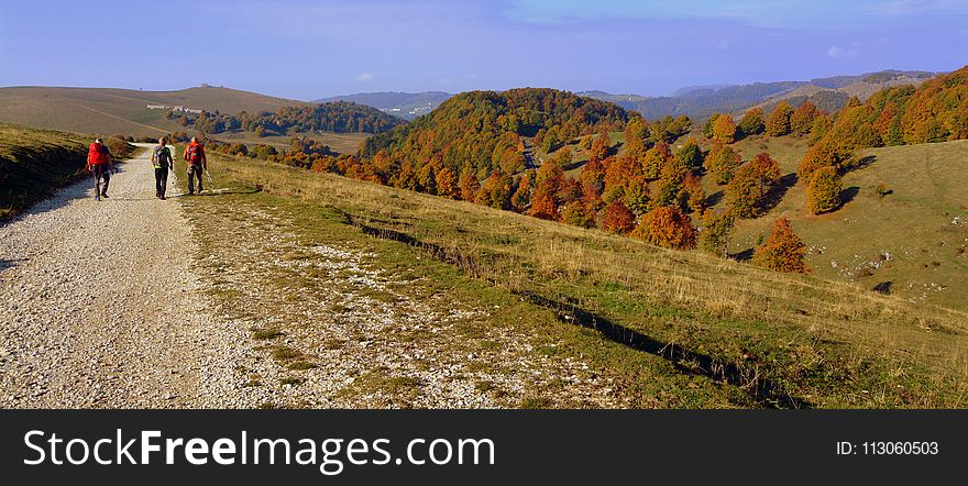 Ridge, Wilderness, Chaparral, Path