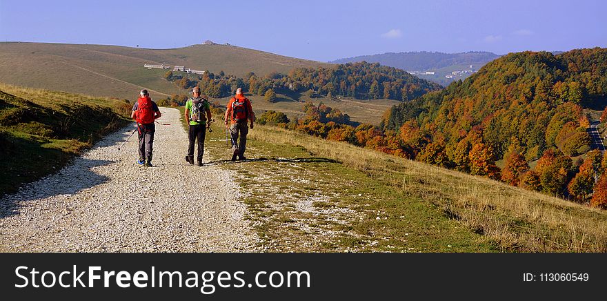 Wilderness, Nature, Path, Ridge