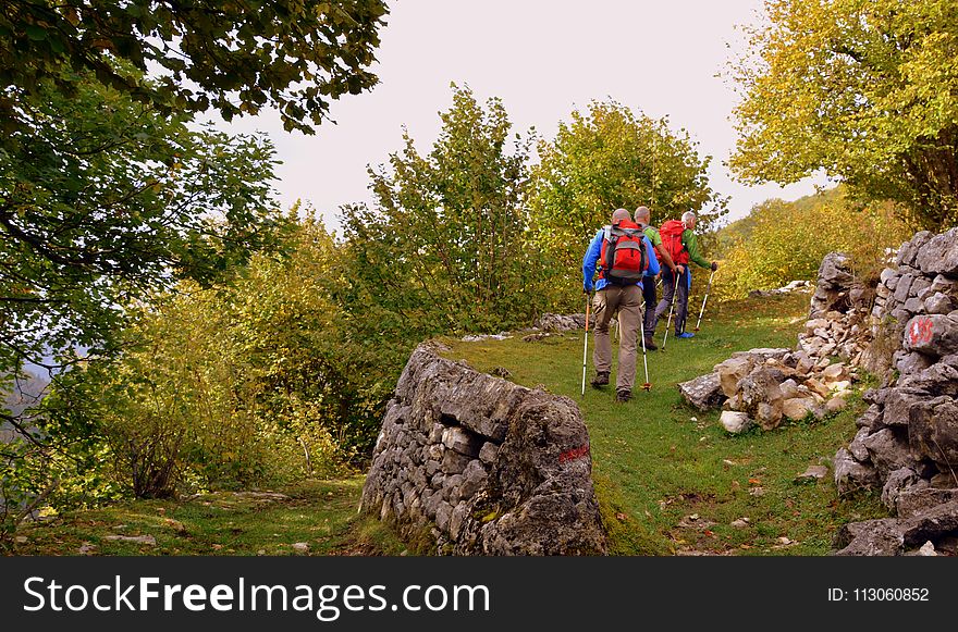 Land Vehicle, Path, Mountain Bike, Cycle Sport