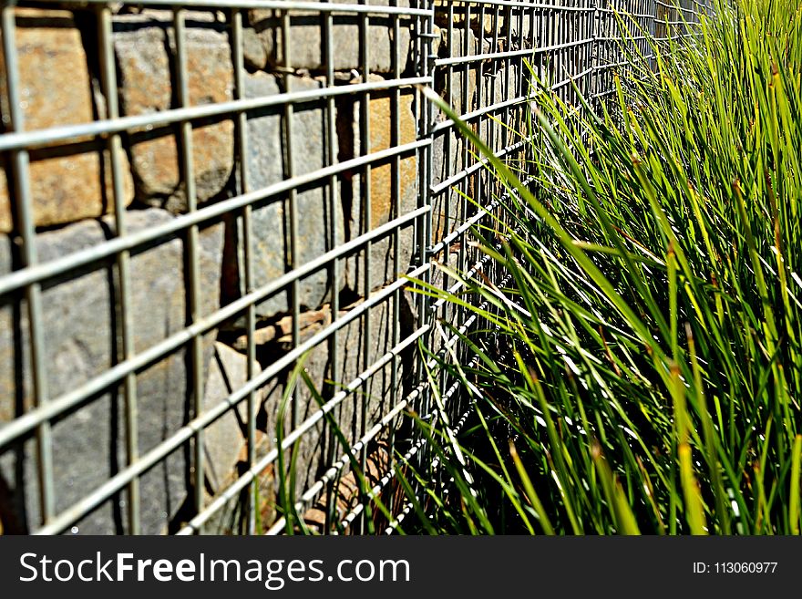 Grass, Iron, Plant, Fence