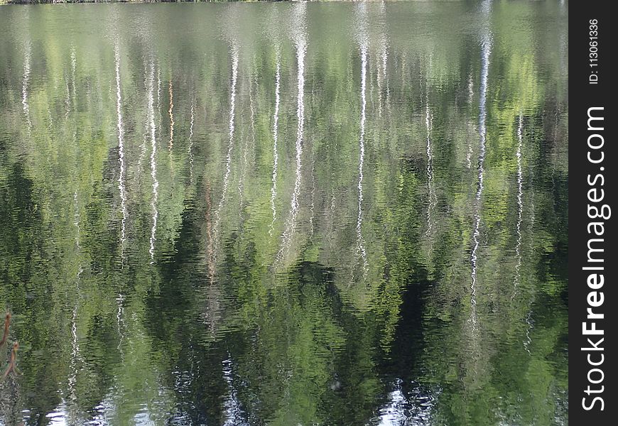 Reflection, Water, Green, Nature