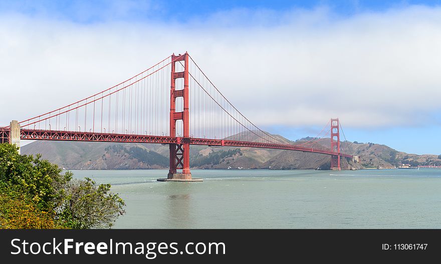 Bridge, Cable Stayed Bridge, Suspension Bridge, Extradosed Bridge