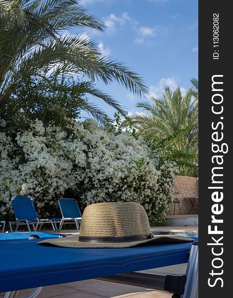 Resort, Property, Swimming Pool, Arecales