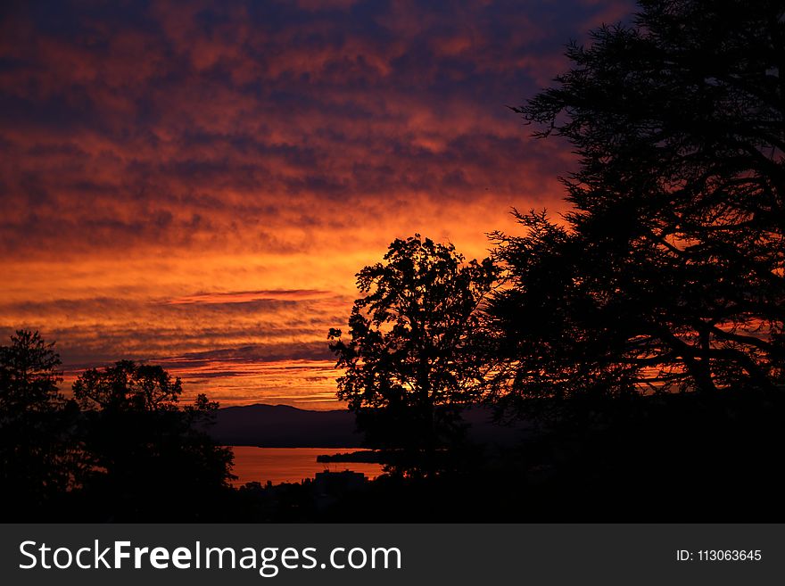 Sky, Red Sky At Morning, Afterglow, Nature