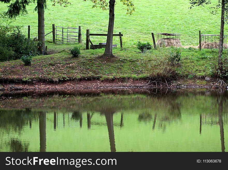 Reflection, Water, Nature, Green