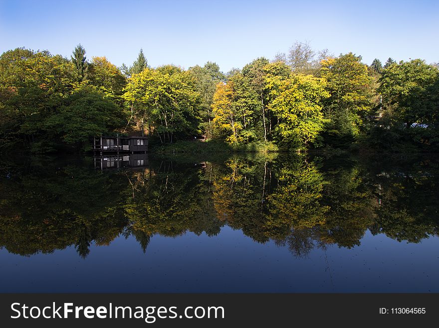 Reflection, Waterway, Nature, Vegetation