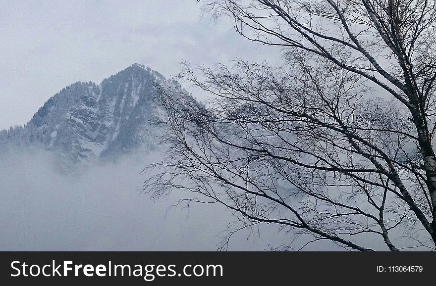 Sky, Tree, Mountainous Landforms, Winter