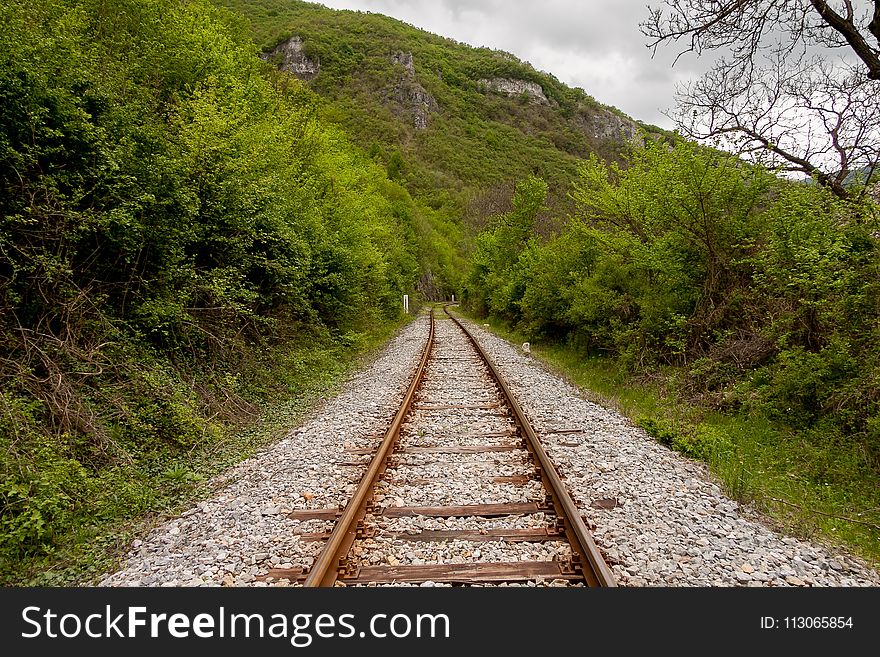 Track, Transport, Path, Rail Transport