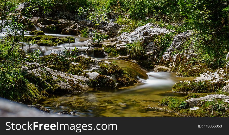 Stream, Water, Nature, Vegetation