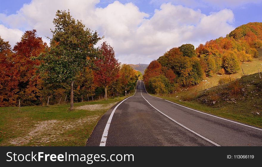 Road, Nature, Leaf, Autumn