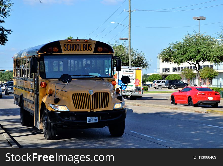 Transport, Bus, Motor Vehicle, Vehicle