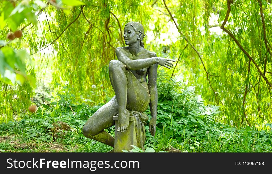 Statue, Sculpture, Tree, Garden