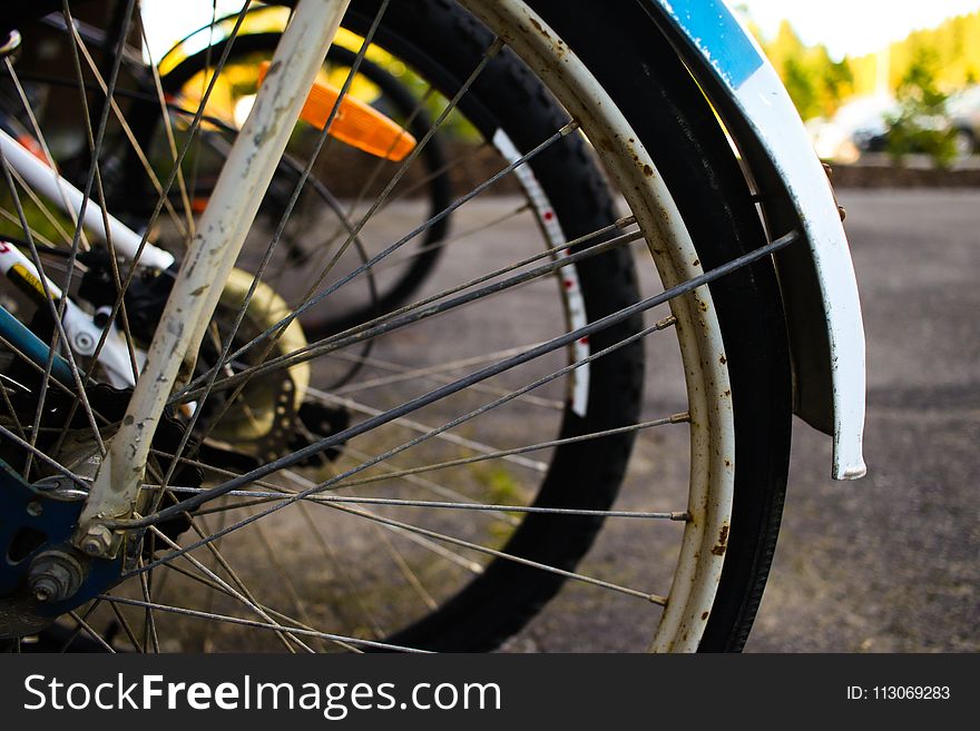 Bicycle Wheel, Spoke, Wheel, Bicycle