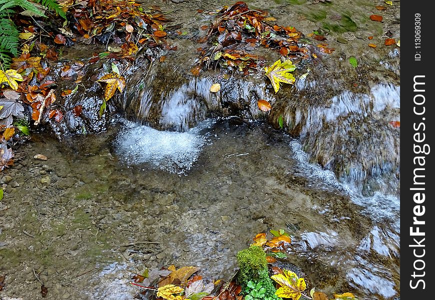 Water, Stream, Nature, Body Of Water