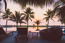 Silhouette Coconut Palm Tree Around Outdoor Swimming Pool Stock Image