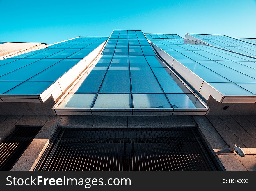 Low Angle Photography of Blue Glass Building