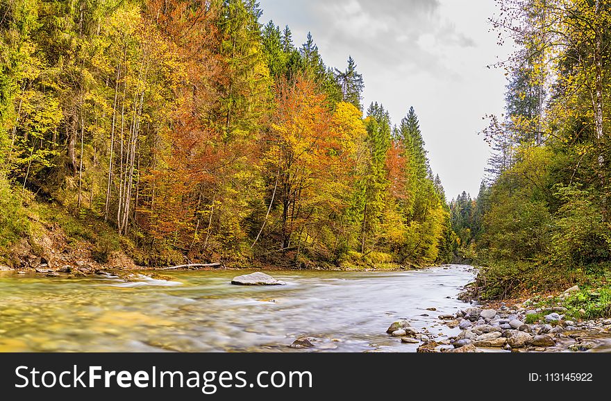 Nature, Water, Ecosystem, Nature Reserve