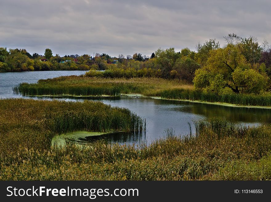 Water, Reflection, Nature, Wetland