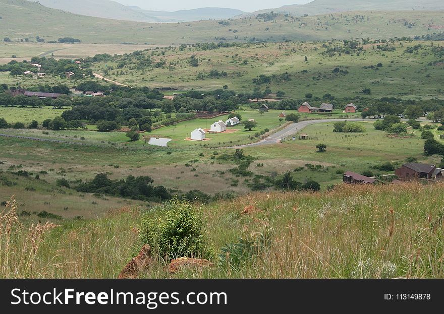 Ecosystem, Grassland, Nature Reserve, Pasture