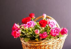 Beautiful Bouquet Of Roses In A Basket. Royalty Free Stock Photo Beautiful Bouquet Of Roses In A Basket. Royalty Free Stock Photo